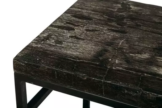 Кофейный столик таланго из окаменелого дерева 381886