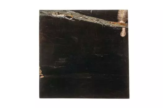 Кофейный столик таланго из окаменелого дерева 381895