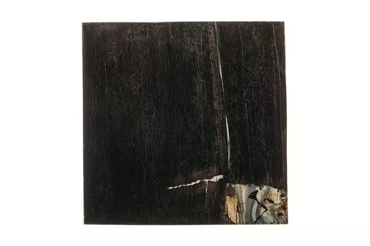 Кофейный столик таланго из окаменелого дерева 381896