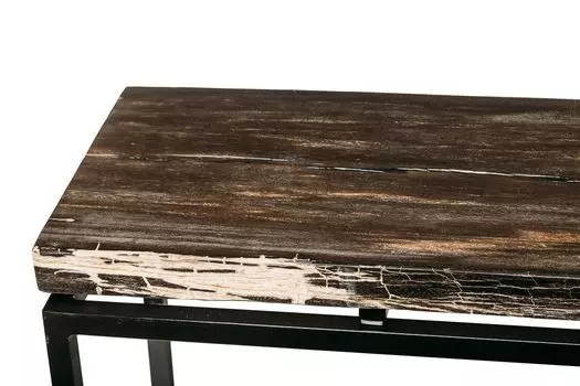 Консоль пантара из окаменелого дерева 382245