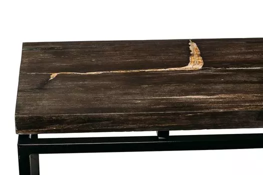 Консоль пантара из окаменелого дерева 382246