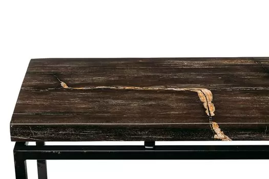 Консоль пантара из окаменелого дерева 382247