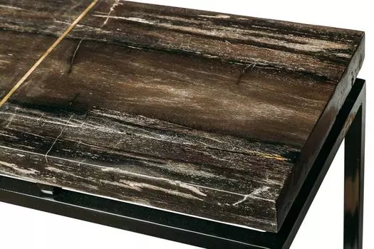 Консоль пантара из окаменелого дерева 382248