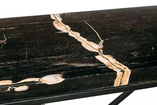 Консоль пантара из окаменелого дерева 382253