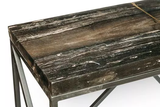 Консоль пантара из окаменелого дерева 382254