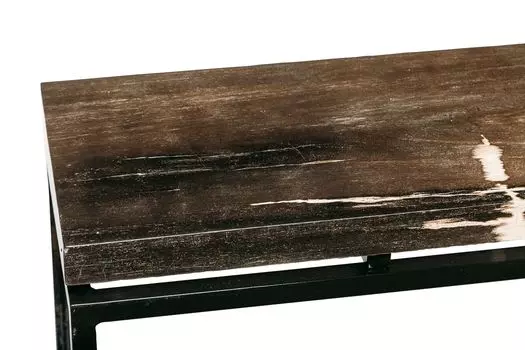 Консоль пантара из окаменелого дерева 382258