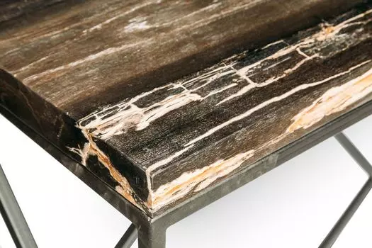 Консоль пантара из окаменелого дерева 382261