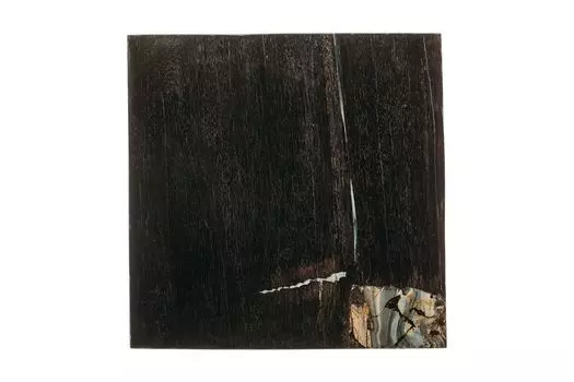 Консоль пантара из окаменелого дерева 3