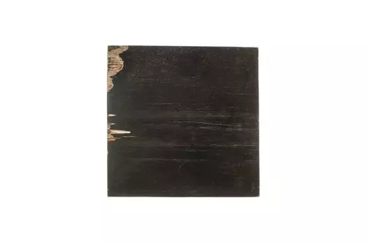 Консоль пантара из окаменелого дерева 42