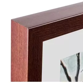 Копия старинной литографии a Hand-Painted Illustration of an Arakan Forest Turtle 1872 г.