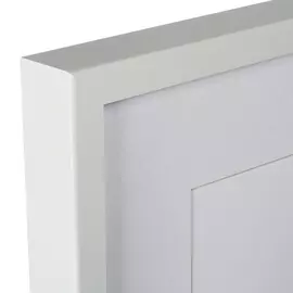 Копия старинной литографии Beautiful Parrots №4 1872 г.