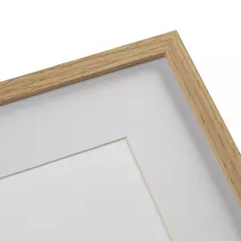 Копия старинной литографии Botany Illustration №17 1836 г.