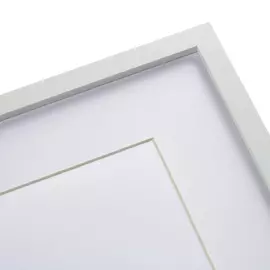 Копия старинной литографии Caribian Flora Plumeria 1740 г.