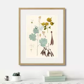 Копия старинной литографии Fragmenta Botanica №12 1809 г.