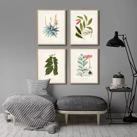 Копия старинной литографии Fragmenta Botanica №4 1809 г.