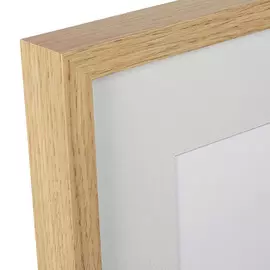 Копия старинной литографии Fragmenta Botanica №6 1809 г.