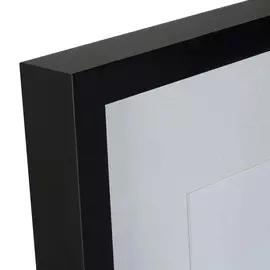 Копия старинной литографии Toucans №4 1849 г.