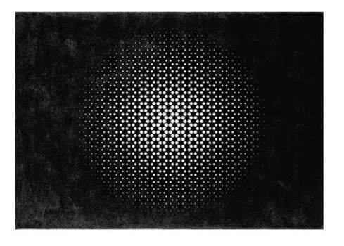 Ковер Akari из вискозы и шерсти 200x300