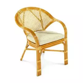 Кресло Java коньячного цвета