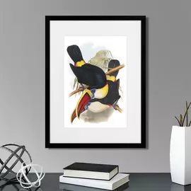 Набор из четырех картин Toucans