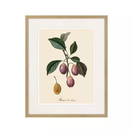 Набор из шести картин Juicy Fruit Lithography №4