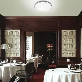 Настенно-потолочный светодиодный светильник Leka белого цвета