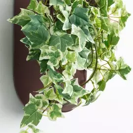 Настенное кашпо Aldina из керамики