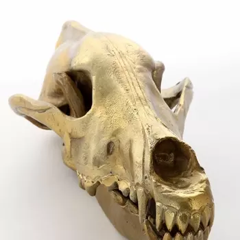 Настольная статуэтка Wolf Skull золотого цвета