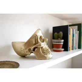 Органайзер для мелочей Skull золотого цвета