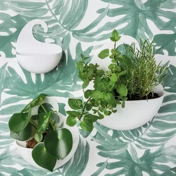 Органайзер для ванной Surf xs прозрачный