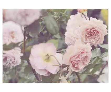 Панно Botanic Printed на фотобумаге