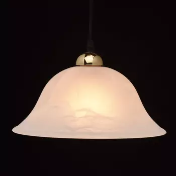 Подвесной светильник Regenbogen Life ника