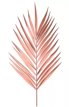 Постер красный лист 50х70