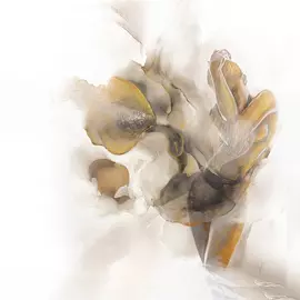 Постер на холсте песня поющего цветка 100х100