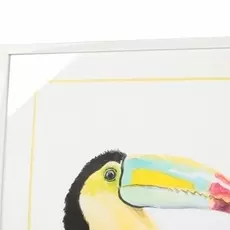 Постер Toucan с изображением африканской птицы