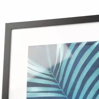 Постер в раме Indigo Kentia