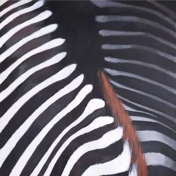 Постер Zebra s