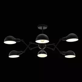Потолочная люстра Exmoor черного цвета