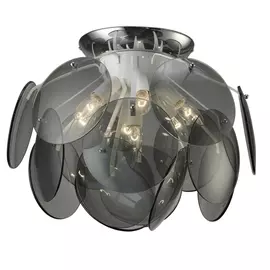 Потолочная люстра Favourite Megapolis