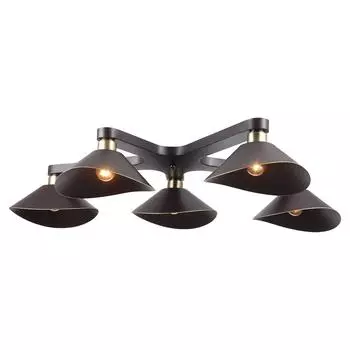 Потолочная люстра Lussole Loft