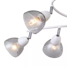 Потолочная люстра Rosebud с прозрачными плафонами