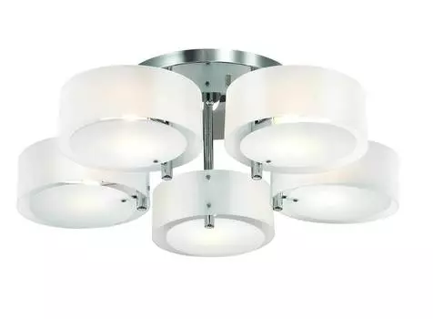 Потолочная люстра st Luce "Foresta"