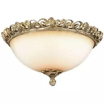 Потолочный светильник Odeon "Ponga"