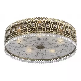 Потолочный светильник Odeon "Salona"