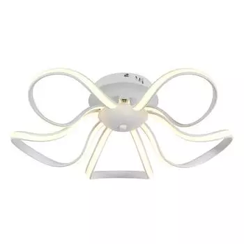 Потолочный светодиодный светильник Arti Lampadari Garda