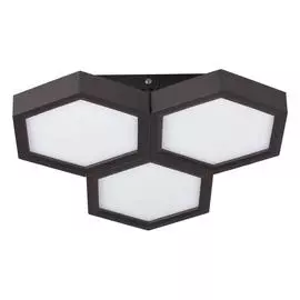 Потолочный светодиодный светильник Favourite Favum