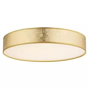 Потолочный светодиодный светильник Globo Amy