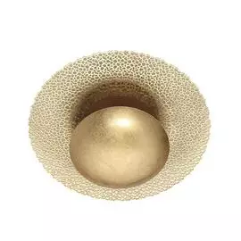 Потолочный светодиодный светильник Odeon Light Solario