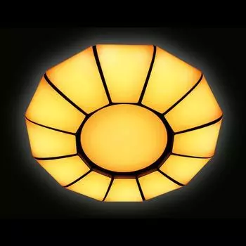 Потолочный светодиодный светильник Orbital Parrus