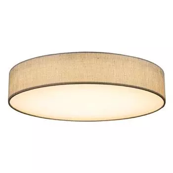 Потолочный светодиодный светильник Paco